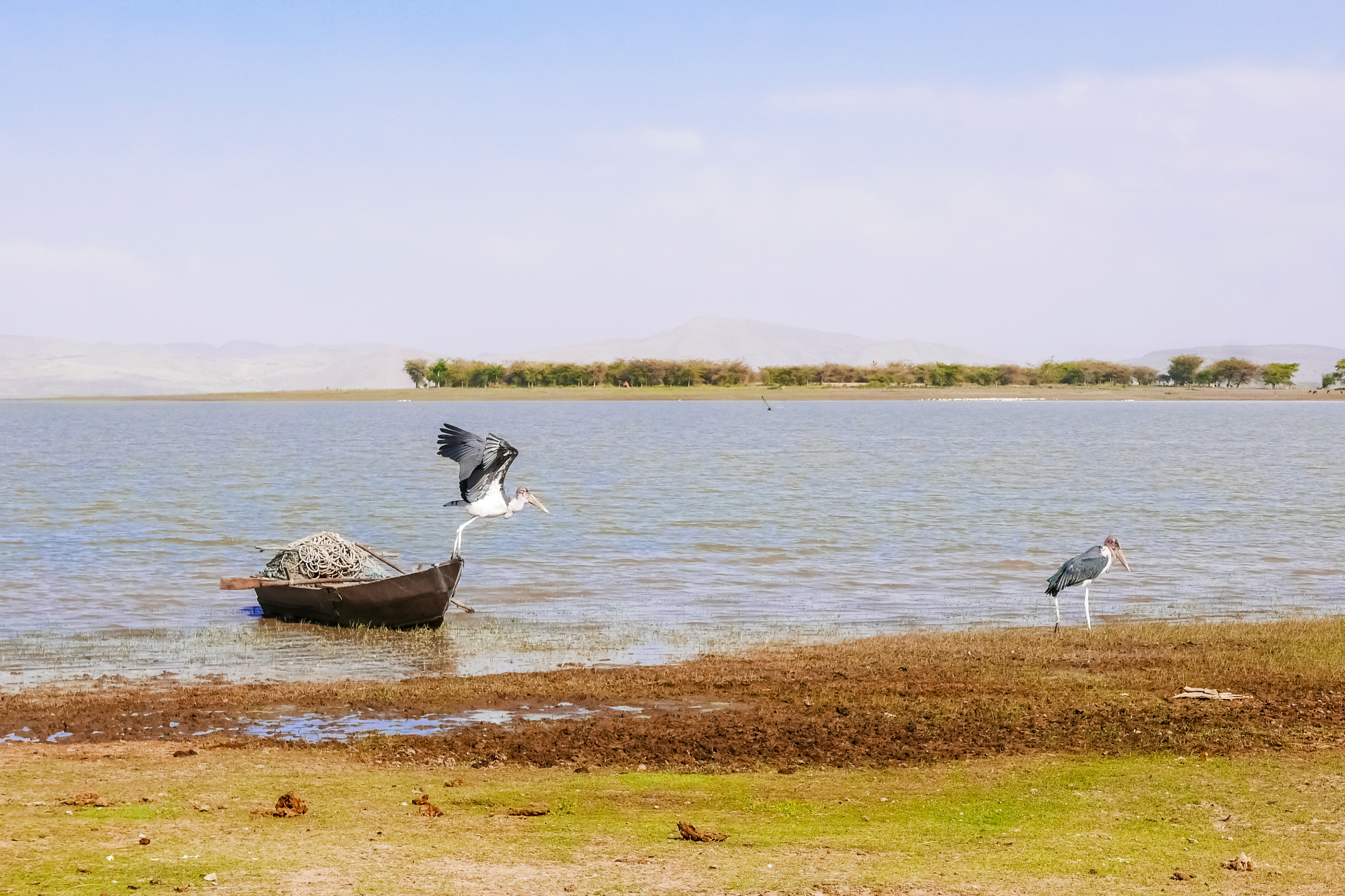 chitimba, khondowe.webp